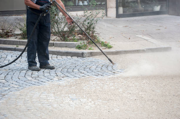 Best Dumpster Area Cleaning  in Limestone Creek, FL