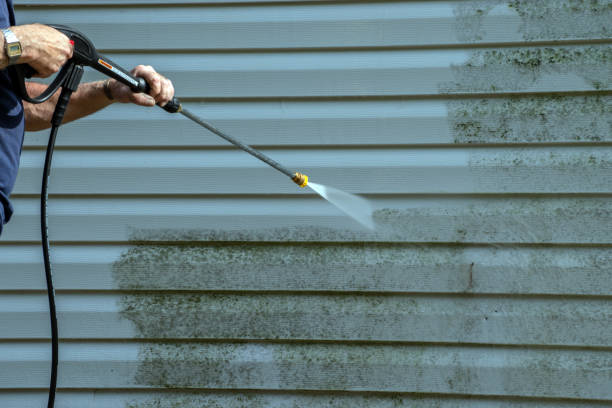 Best Dumpster Area Cleaning  in Limestone Creek, FL